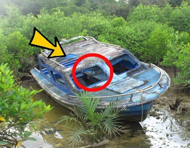 Barca misterioasă eșuează: descoperirea surprinzătoare