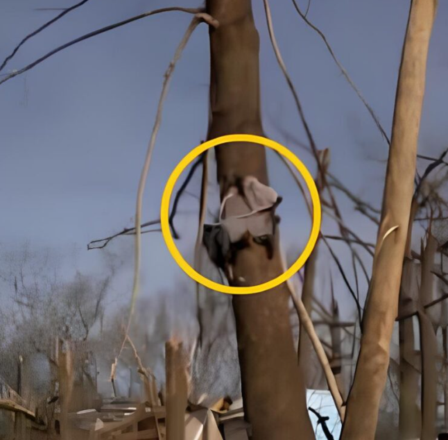 Dacă acesta nu este un miracol, atunci nu știu ce este!