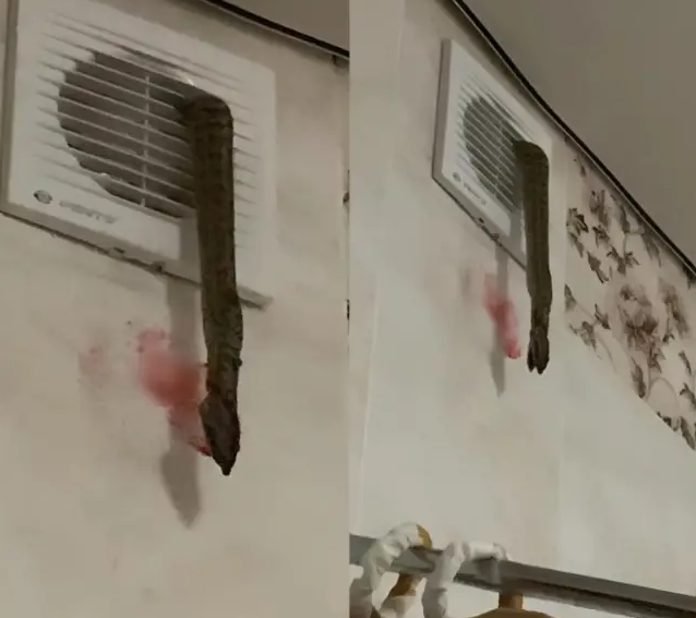 Ceva atârna din ventilator… iar ceea ce am văzut atunci mi s-a întipărit în memorie pentru totdeauna.