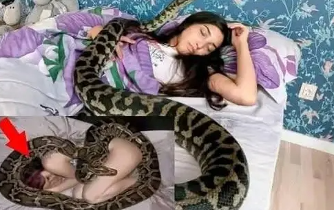 Cassandra și-a petrecut nopțile alături de pitonul ei, până când o ecografie neașteptată i-a schimbat viața pentru totdeauna.